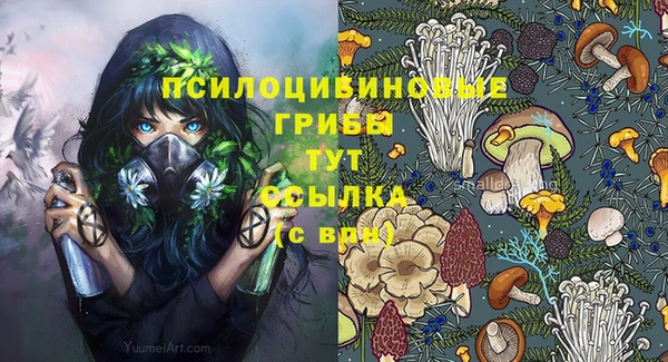 ГАЛЛЮЦИНОГЕННЫЕ ГРИБЫ Рославль