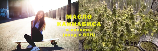 индика Ростов